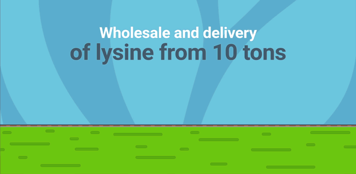 L-Lysine Sulfate Production And Wholesale Supply