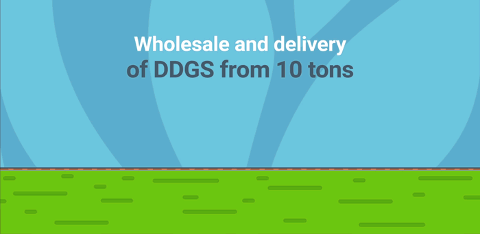 DDGS Production and Supply